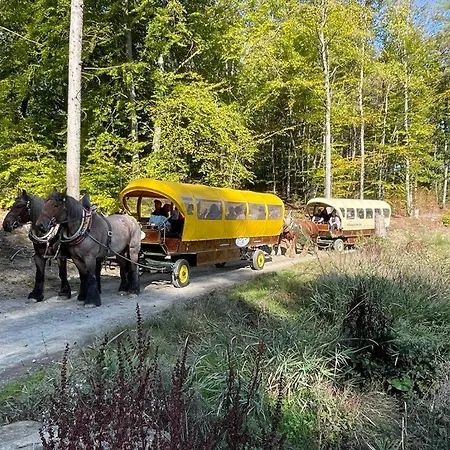 Pferdehof Hacke - & Gaestezimmer Reichshof