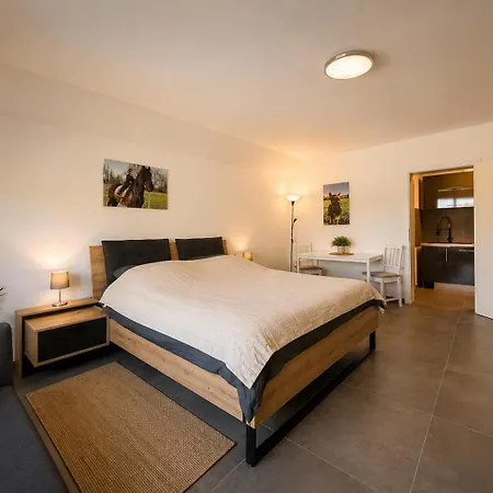 דירה Pferdehof Hacke - & Gaestezimmer